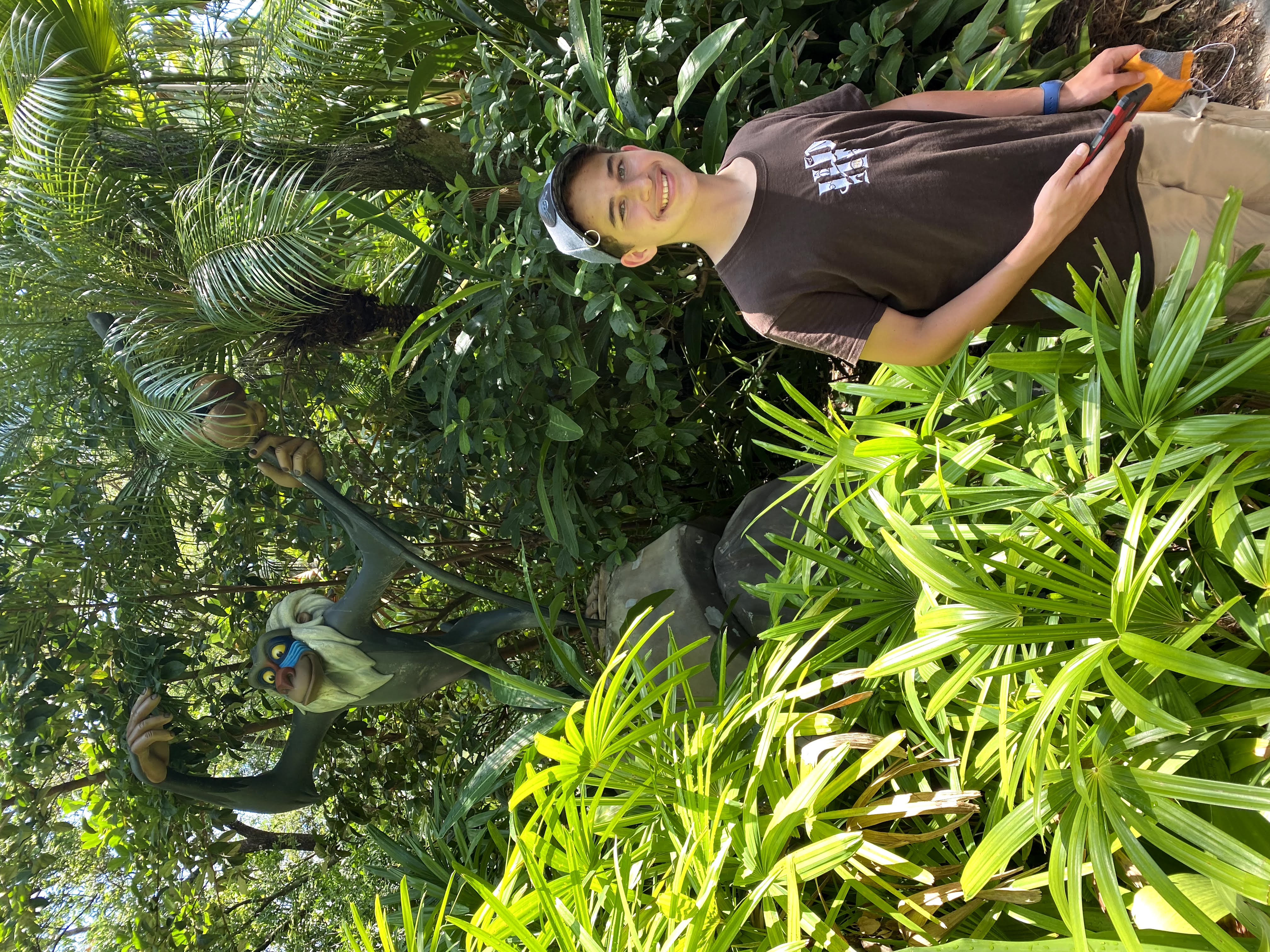Animal Kingdom